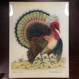 John Derian Crefted Turkey Tray